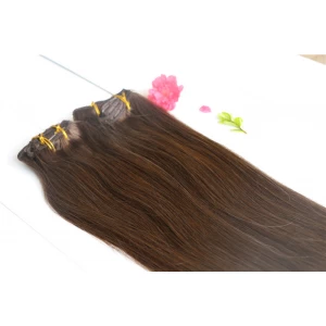 An tSín Best Selling Strong Double Mixed Color clip in human Hair Extension natural Color déantóir