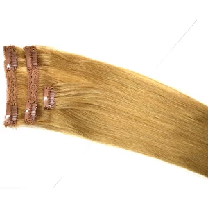 China Braizllian human hair lace clip in hair factory price wholesale human hair manufacturer