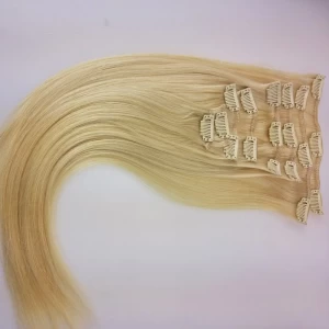 China Brazilian Clip In Hair Extension manufacturer