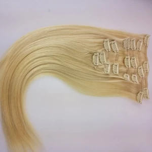 China Brazilian Clip In Hair Extension fabricante