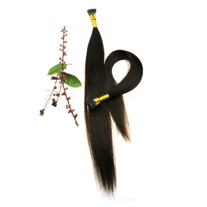 Chine Cheap Brazilian hair kinky straight no tangle no shedding dyed and ironed well itip hair extensions fabricant
