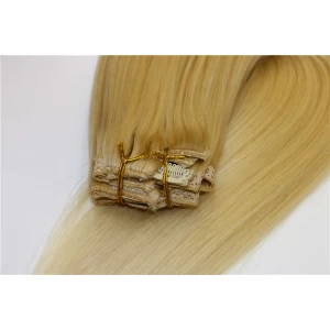 China Clip in hair extensions with high quality brazilian human hair fabricante