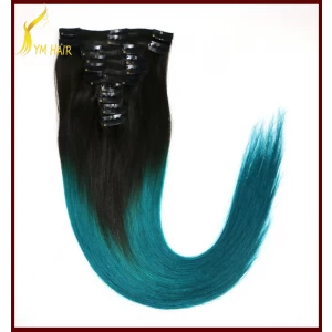 China Double drawn 150g 190g 220g 100% real human hair clip in extensions fabrikant