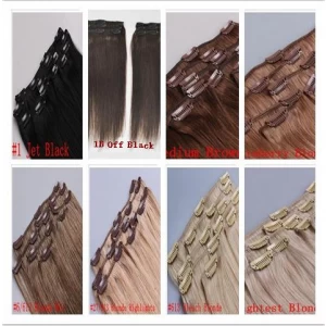 China Factory Wholesale 120g 165g 200g clip in virgin human european hair extensions manufacturer