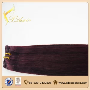 China Factory price cheap ombre color hair weft fabrikant