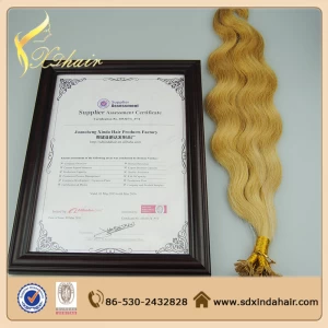 Chine Full Cuticle Double Drawn Pre Bonded Flat Tip Hair Extension fabricant