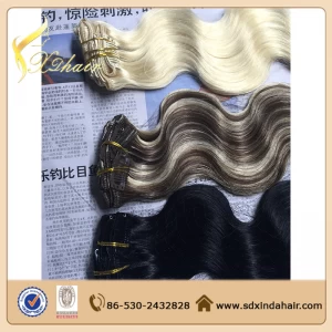 China Full head remy clip in hair extensions fabricante