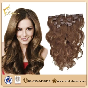 中国 Hot Sale Clip In Hair Extension 10-30inch Free Sample 100% Real Virgin Human Hair Afro Kinky Curly Clip Hair Extension 制造商