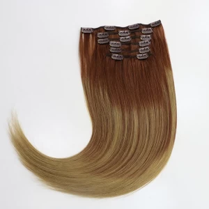 China Hot Sale Virgin Tangle/Shedding Free Wholesale Price Clip-In Hair Extension white clip in hair extension Clip Hair Extension manufacturer