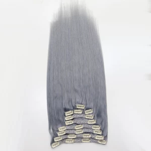 China Hot selling Timly delivery grey hair clip in extensions fabricante