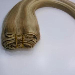 porcelana Malaysian virgin hair weft fabricante