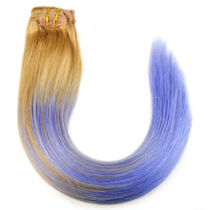 Chine Ombre clip in human hair extension blond hair top quality hair clip fabricant