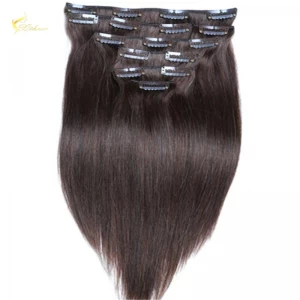 China Remy Virgin Brazilian Hair Clip In Hair Extensions Free Sample 120g 140g160g 180g 200g 220g Hersteller