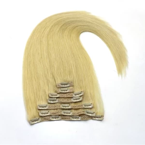中国 Remy Virgin Malaysian Hair Clip In Extensions 120G Clip In #613 ombre color Extensions Clip In Human Hair Extensions メーカー