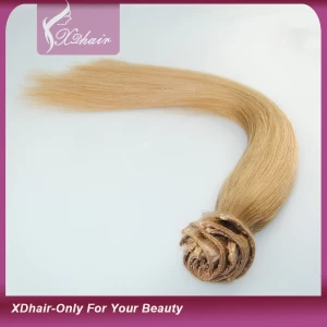 Chine Tangle Free Pas Faire clip 100% Cheveux en gros Extension de cheveux fabricant