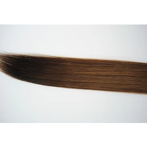 Chine Top quality 7A virgin Brazilian tape hair fabricant