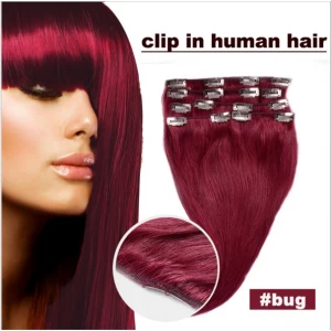 China Top quality clip in hair extension 50g-260g per set premium quality human hair manufacturer
