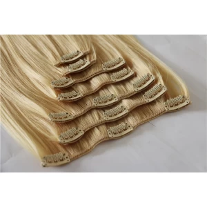 China Unprocessed Wholesale Cheapest 100% Human Hair Full Head Clip On Hair Extensions 8 pcs manufacturer