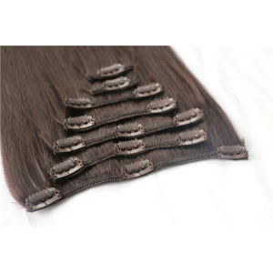 Chine Unprocessed Wholesale Cheapest 100% remy human clip in hair extension fabricant