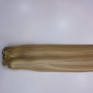 An tSín Virgin Brazilian Cheap Hair Weft déantóir