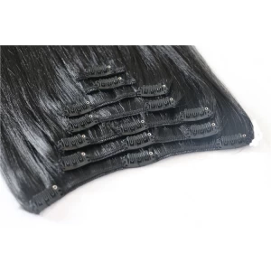 Chine Wholesale Cheapest 100% Indian clip in hair extension fabricant