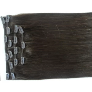 China Wholesale Price 7A Grade 1g/s 100s wholesale price stick clip in  hair extensions Hersteller