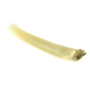 중국 Wholesale brazilian hair unprocessed virgin hair extension clip in 제조업체