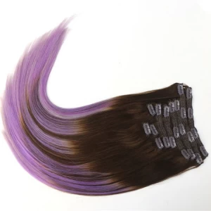 Chine Without chemical process real virgin clip in hair extension fabricant