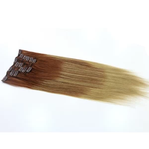 Chine alibaba express china dropship 100% virgin brazilian indian remy human hair seamless clip in hair extension fabricant
