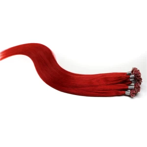 An tSín aliexpress china wholesale free shipping 100% virgin brazilian indian remy human hair flat tip hair extension déantóir
