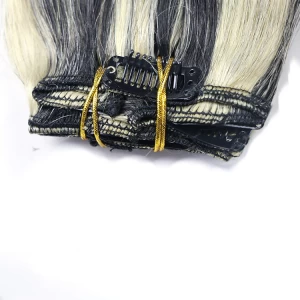 China cheap Top quality Heat resistant straight synthetic clip in hair extension fabrikant