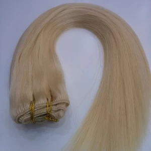 Chine factory price human clip in hair extensions fabricant