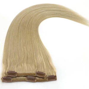 An tSín grey color balayage color aliexpress china supplier 100% virgin brazilian remy human hair seamless clip in hair extensions déantóir