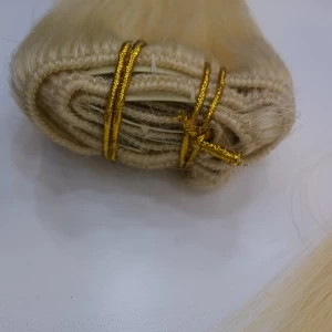 중국 remy human clip in hair extensions 제조업체