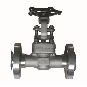 China 1/2'' 600LB inconel 825 hand wheel RF gate valve manufacturer
