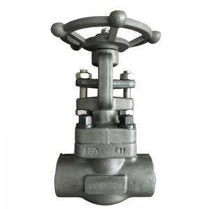 China 1/2'' A182 F11 1500LB SW gate valve manufacturer