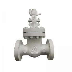 China 3inch 600LB WCB RF flange manual gate valve manufacturer