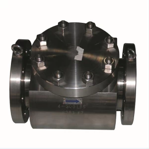 China 4'' 300LB B381 F2 piston check valve manufacturer