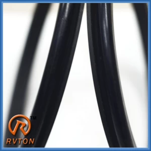 Bauma Shanghai 2016 Rvton Seals on Show