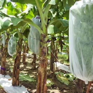 香蕉束蓋供應商，PP無紡香蕉束蓋，香蕉保護蓋批發在中國