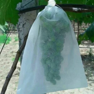 China Fábrica de sacos de uva, China Sacos de uva 100% polipropileno não tecido atacado, saco de proteção de frutas Fabricante