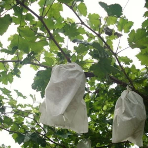 Китай Виноградные сумочки по продажам, Китай Виноградные сумочки Природные экологически чистые для фруктов, мешок для защиты от фруктов оптом