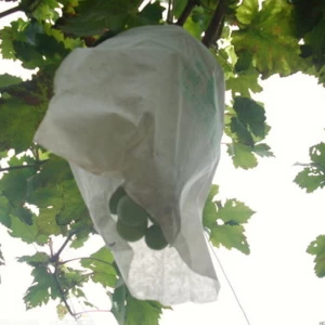 Porcellana Borse dell'uva all'ingrosso, sacchetto protettivo non tessuto del polipropilene delle borse dell'uva della Cina per frutta, borsa della protezione della frutta società