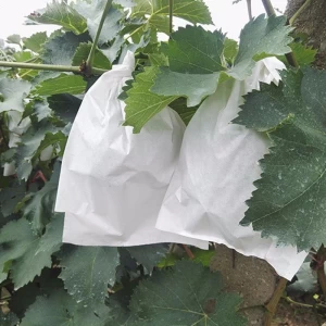 Фруктовые защитные сумки оптом, экологически чистые защитные очки PP Нетканые сумки, растущие сумки для фруктов в Китае