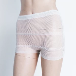 Mesh Disposable Underwear Travel Panties Handy Briefs Mesh Panties For After Birth Factory