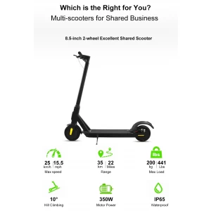 10'' Bird Lime shared scooter hidden cables GPS tracker intelligent application control