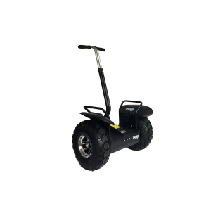FreeGo F3 route self balancing electric scooter