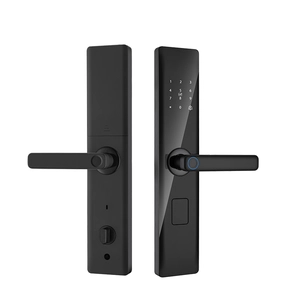 Smart Lock BSI26S - COPY - ucdwpg