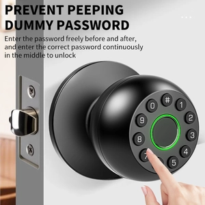 Smart Lock BSI D12