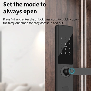 Smart Lock BSI 20D